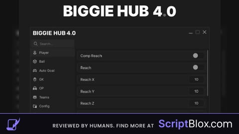 BIGGIE HUB