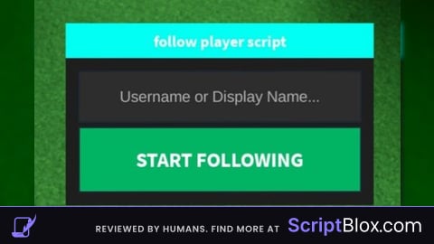 follow player script