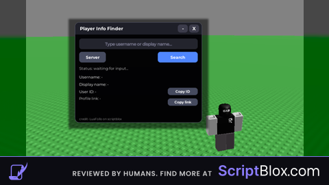 Player Info Finder