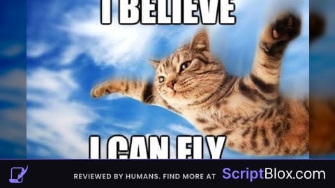 fly script