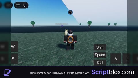 Helicopter controller move