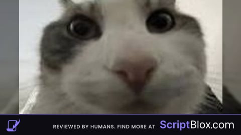 checkpoints script