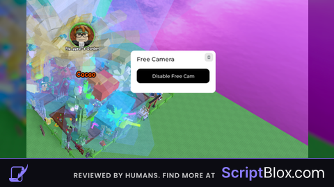 Freecam