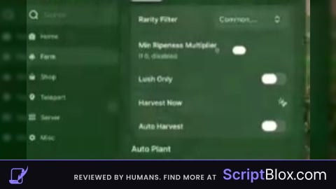 Scriptblox