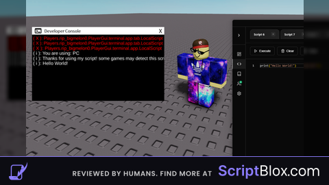 Developer Console