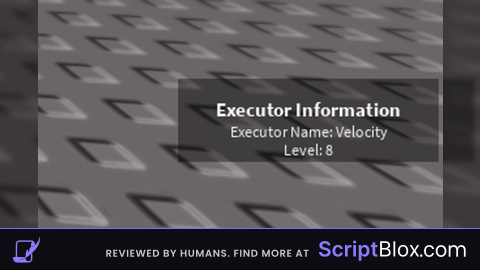 simple executor info