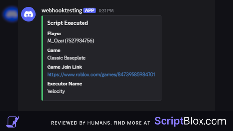Webhook Execution Log