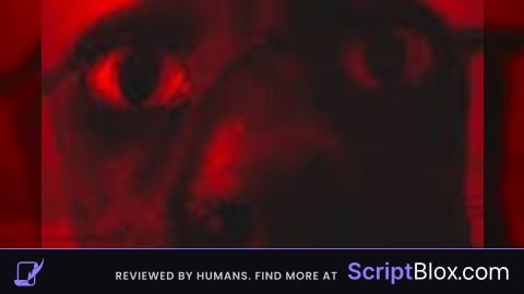 THE EVIL SCRIPT