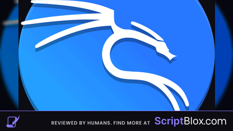 Kali Linux Emulator