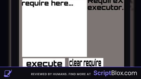 RequireX executor