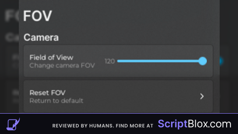 Ai made fov changer by 2i9y