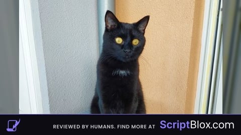Remote Scanner