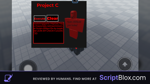 Project C00lkid Executor