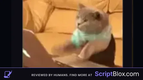 Fake Admin Fly Script By NPC_PlayersNoob