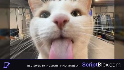 invisible script FE
