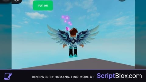MY OWN FLY GUI