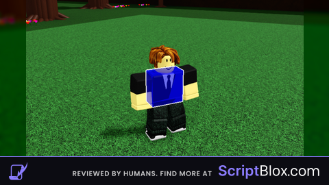 Hitbox Visualiser
