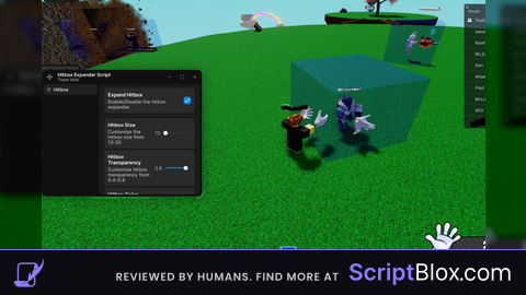 Hitbox Expander Script