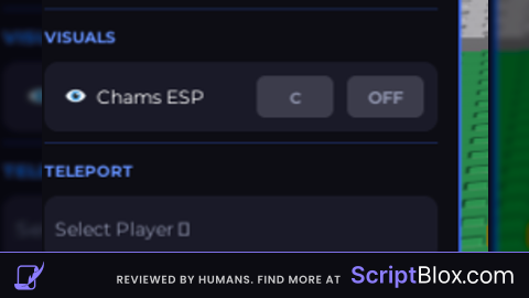 fly esp and more