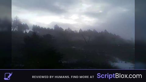 Flick script