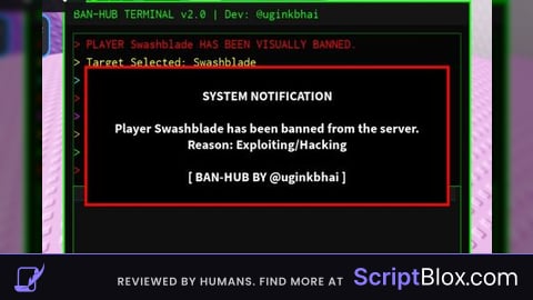 Banner HUB Script Terminal