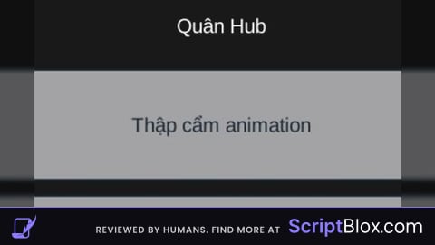 QuanHub | mixed animation