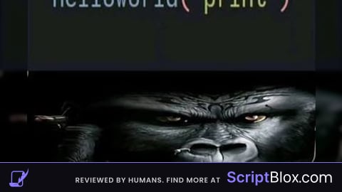 useless script