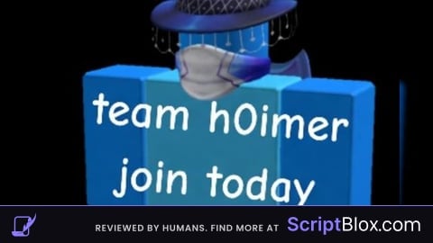 h0imer Executer 2026