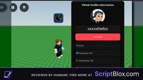 TikTok profile information