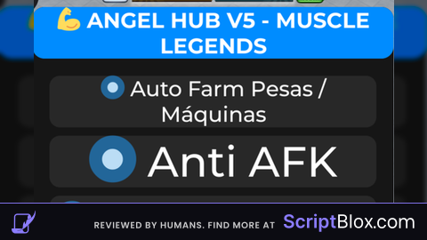 AngelHub V5.2