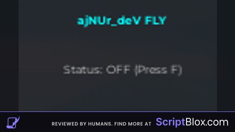 Fly