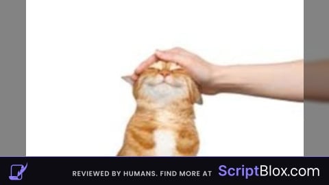 full ARUSCRIPT v3 FULL FIXED (NEW DESING GUI)