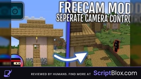 Freecam BETA