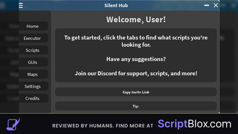 Silent Hub Backdoor Scanner