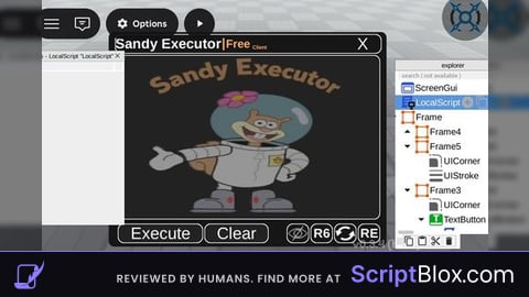 Sandy Executor
