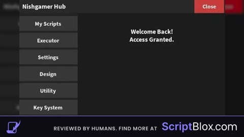 Nishgamerr hub v81
