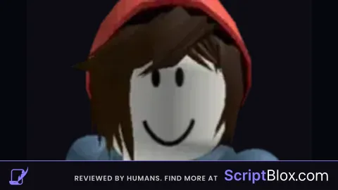 The Scripters Guide