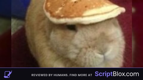 F3X Replication Script