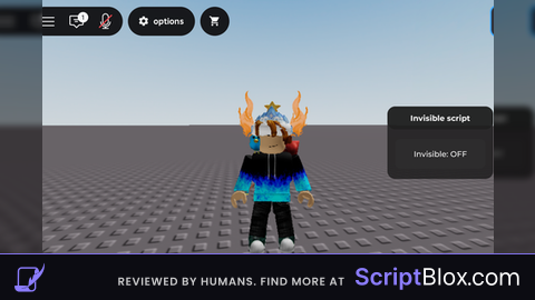 Invisible script open source