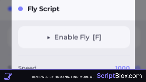 Fly v1
