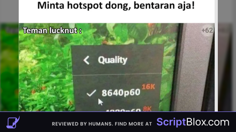 nova best script