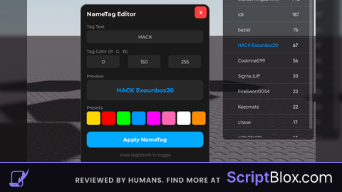 Custom Nametag changer open src