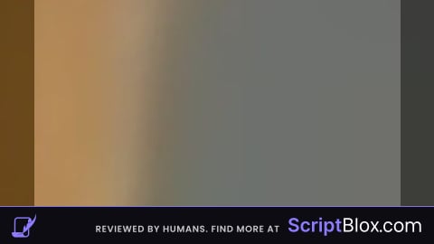 Can somone make a script of this game
