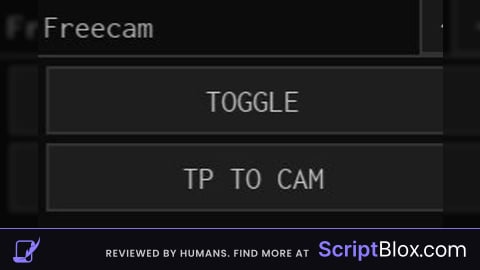 Freecam