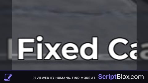 Fixed Camera
