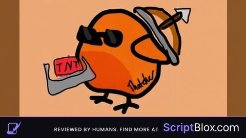 Birb Anticheat Bypass