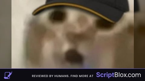 voice anti suspension