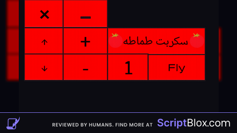 Fly