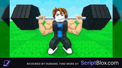 BxScripts
