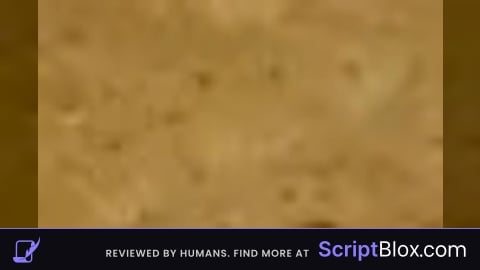 talk gui shi script OPEN SOURCE
